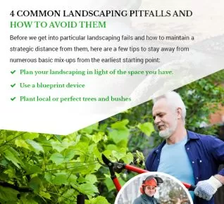 4 Common Landscaping Pitfalls And How To Avoid Them