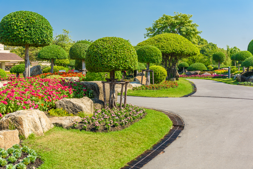 10 Essential Landscaping Blunders to Avoid