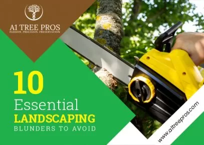 Ten Essential Landscaping Blunders To Avoid