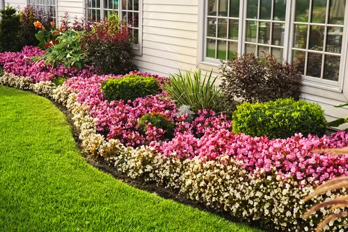 How to Create a Natural Lawn Edging