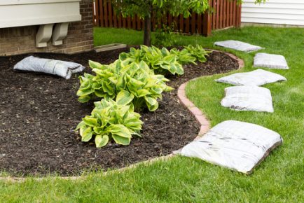 5 Easy Steps to Edge Your Garden Like a Pro