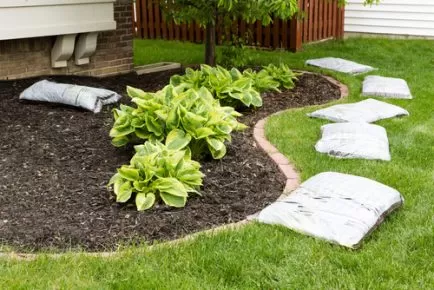 5 Easy Steps to Edge Your Garden Like a Pro