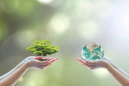 Climate Change and its Scary Effects on the Environment