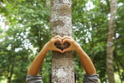 4 Simple Tips 4 Newly Planted Trees