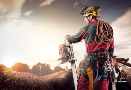 Why Choosing A Landscaper Is The Easiest Thing To Do?