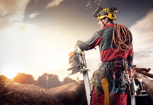 Why Choosing A Landscaper Is The Easiest Thing To Do?