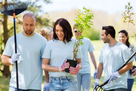 Accountabilities Of A Landscaping Expert
