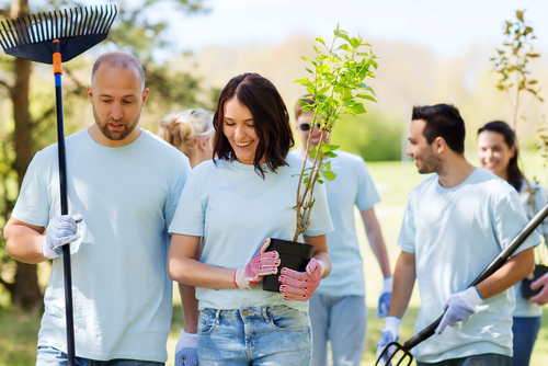 Accountabilities Of A Landscaping Expert