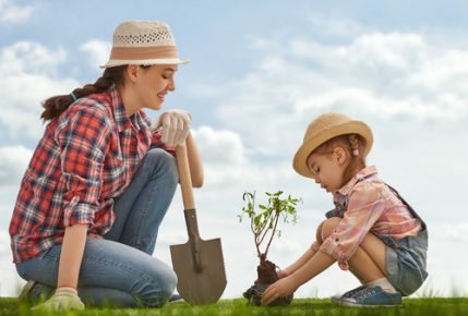 Why Do Plants And Trees Matter?