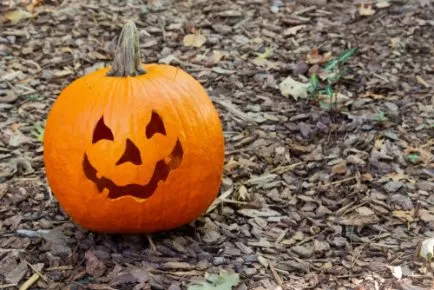 Tips For Mulching in Fall