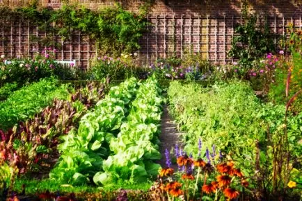 Landscaping Tips For A Vegetable Garden