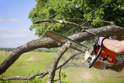 What Is Necessary In Order To Be A Landscaper?