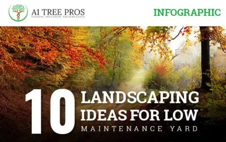 10 Landscaping Ideas for Low Maintenance Yard