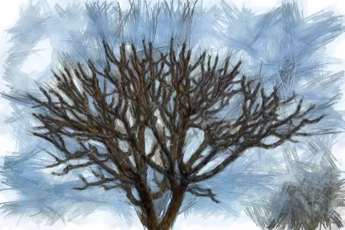 To Prune Or Not: Is Winter Pruning Advisable?