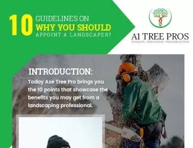 10 Guidelines on why you should appoint a Landscaper?