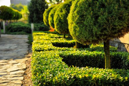 Real Life Issues Faced In Landscaping Contracts