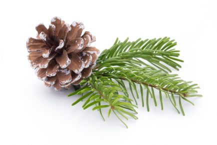 A Little Advice In Time For Next Year’s Holiday Season