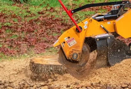 Stump Grinding in Potomac