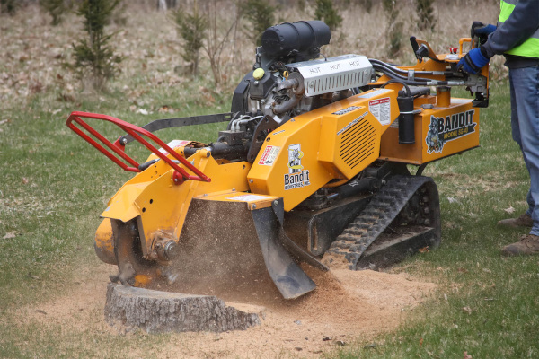 Stump Grinding in Frederick