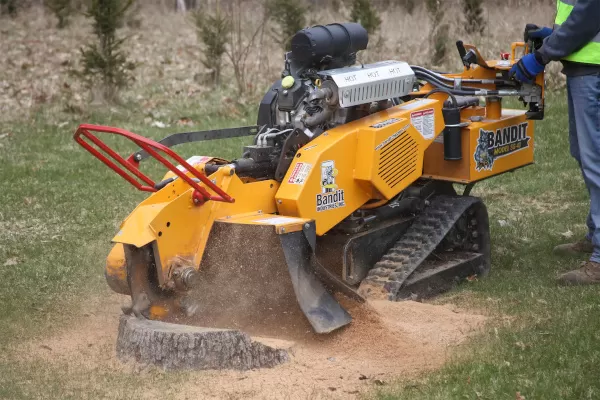 Stump Grinding Service in Frederick