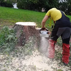 Stump Grinding in Monrovia