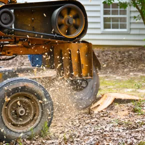 Stump Grinding in New Market