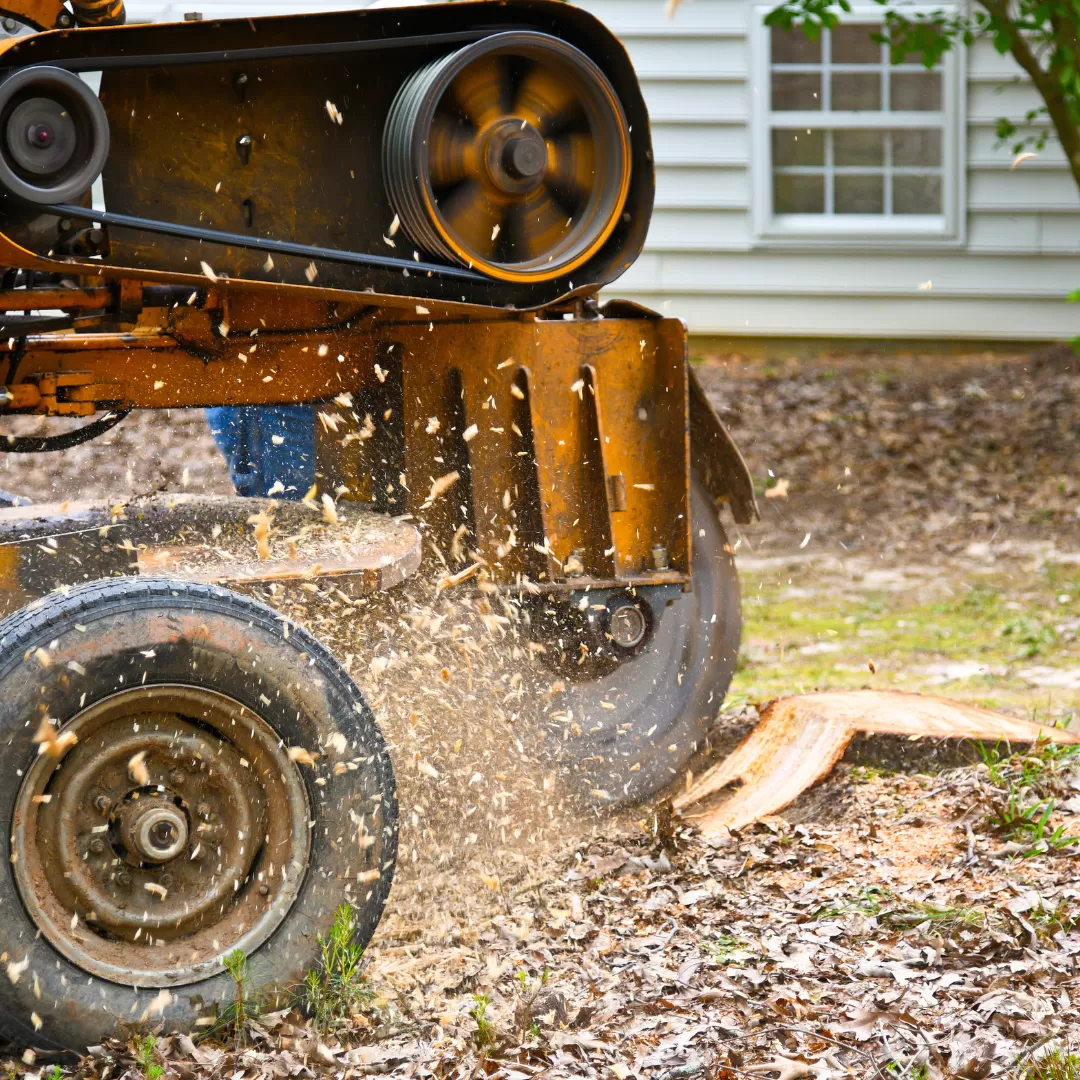 Stump Grinding in New Market