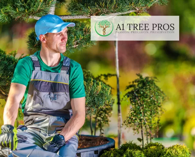 The Benefits of Pro Tree Planting Services: Green Solutions