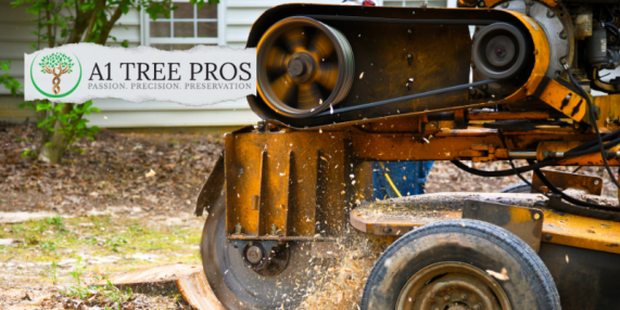 DIY Stump Grinding: Pros and Cons, How-To, All Covered!