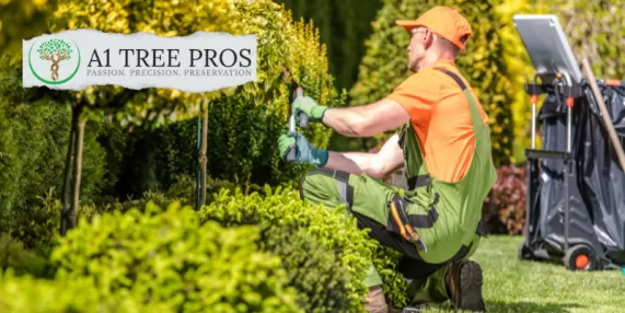 Shrub Shaping: Tips for Crafting a Stunning Garden Landscape
