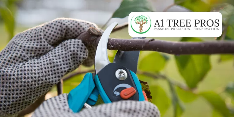 Prune for Privacy: Crafting Natural Screens with Shrub Trims