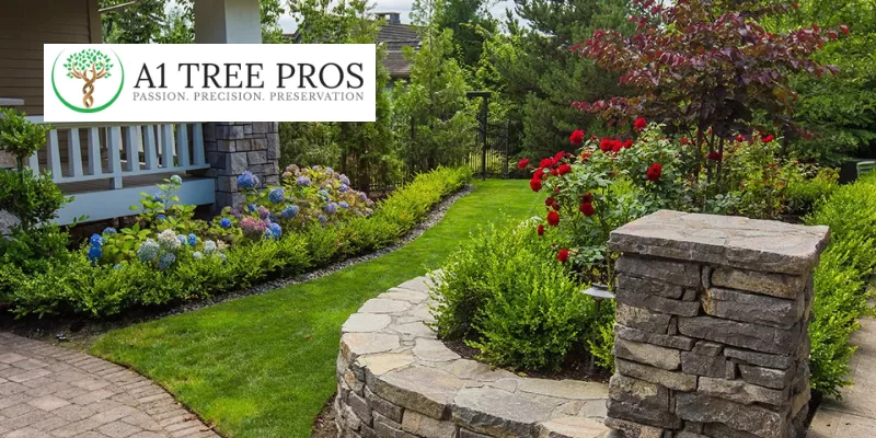 Pruning Shrubs for Flowering: Maximizing Bloom Potential