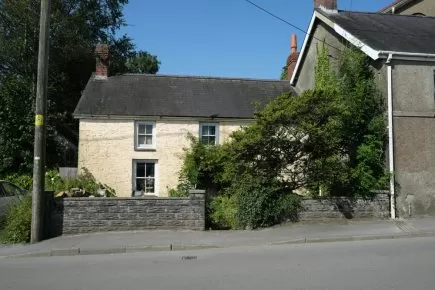 Reviving Neglected Landscapes: Renovating Overgrown Shrubs