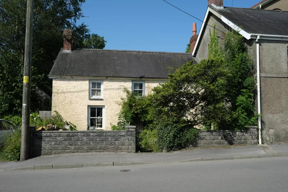 Reviving Neglected Landscapes: Renovating Overgrown Shrubs