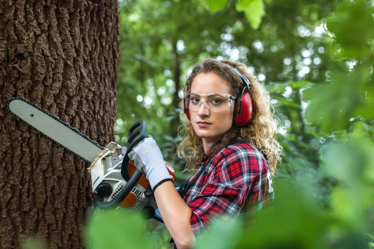 Top 10 Reasons to Hire Experts for Tree Cutting and Stump Grinding in Frederick, MD