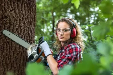 Top 10 Reasons to Hire Experts for Tree Cutting and Stump Grinding in Frederick, MD