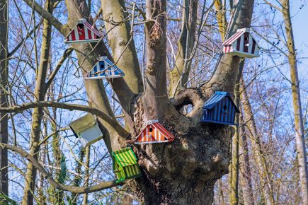 Why Frederick, MD Residents Trust Us for Tree Removal and Emergency Services