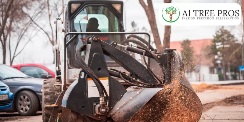 How to Find Reliable Tree-Cutting Services and Emergency Tree Removal in Frederick, MD