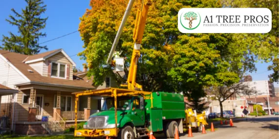 Preparing for the Unexpected: Emergency Tree Removal Services in Frederick, MD