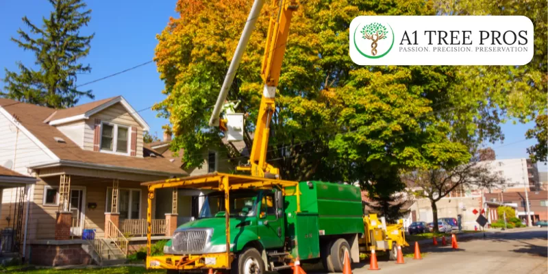 Preparing for the Unexpected: Emergency Tree Removal Services in Frederick, MD