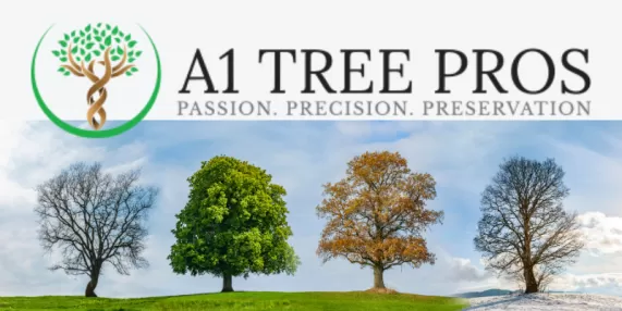 Seasonal Tree Care in Frederick, MD: What to Do Throughout the Year