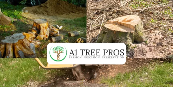 Safe Tree Removal in Urbana, A Guide for Homeowners