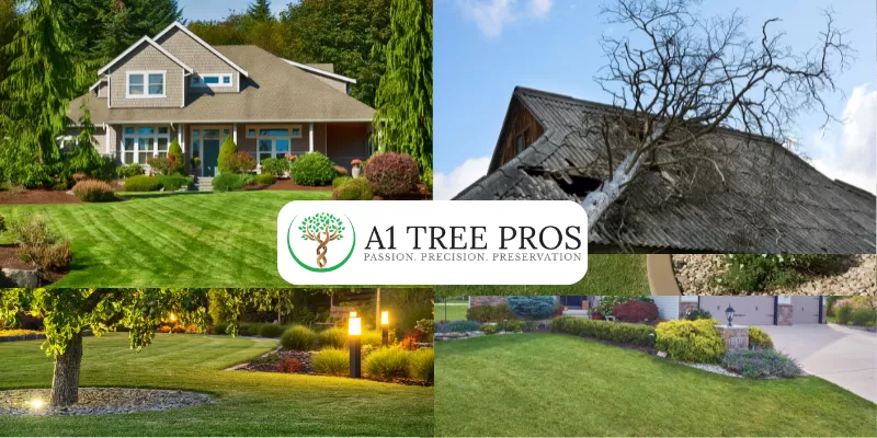 Why Hiring Professional Tree Services Is Essential for Safe and Beautiful Landscaping