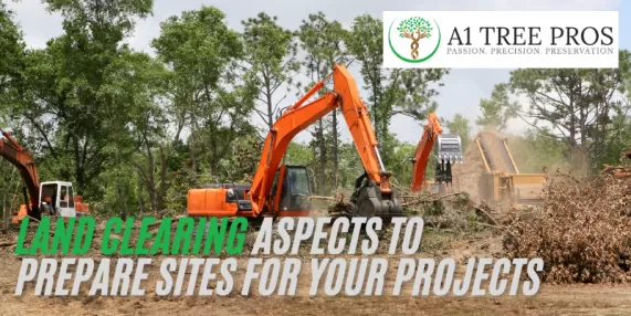 Land Clearing Aspects To Prepare Sites for Your Projects