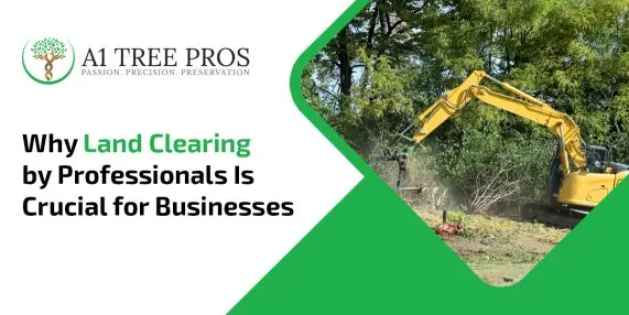 Why Land Clearing by Professionals Is Crucial for Businesses