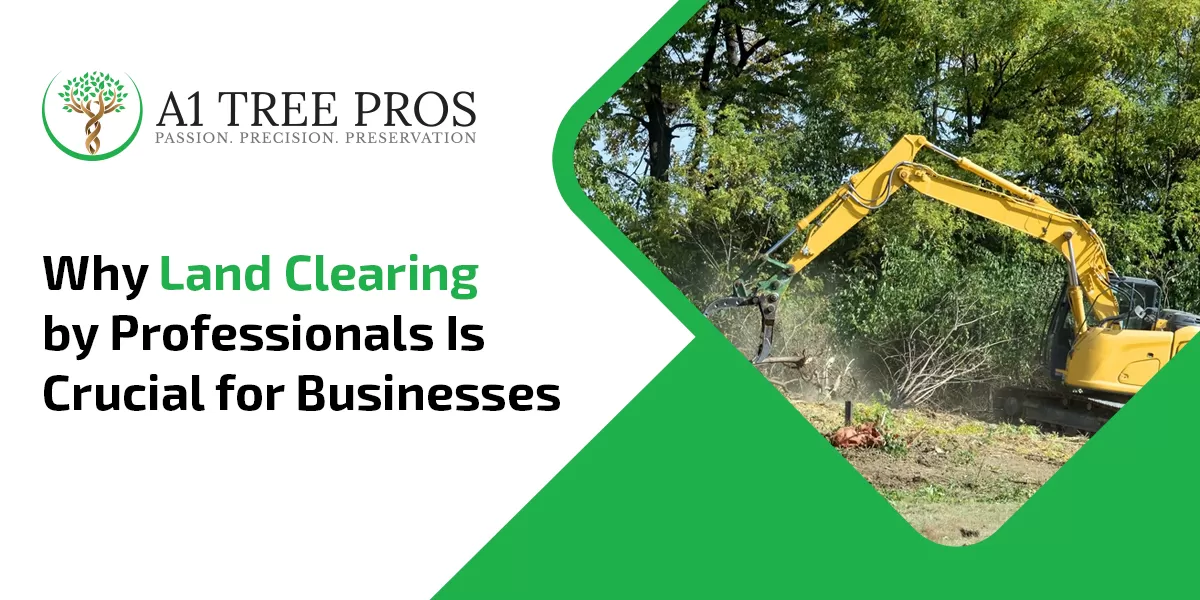 Why Land Clearing by Professionals Is Crucial for Businesses