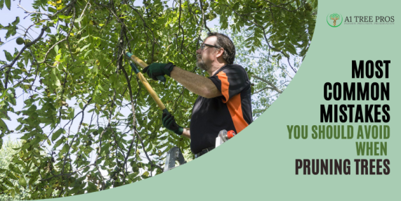 Most Common Mistakes You Should Avoid When Pruning Trees