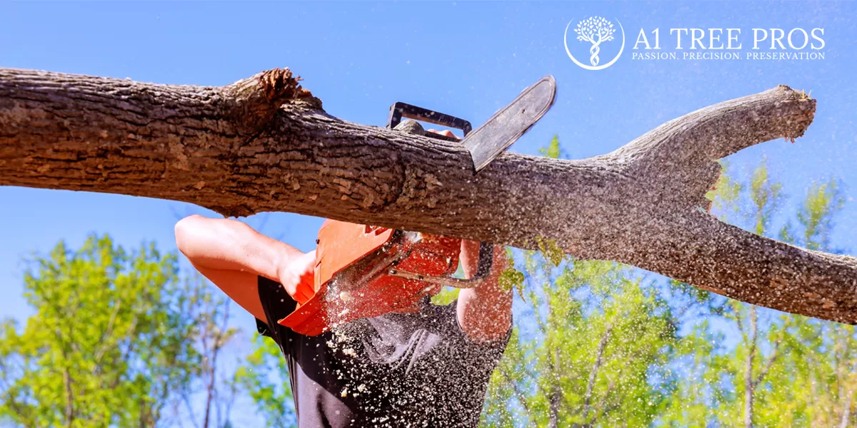 How Tree Removal Services Enhance Your Landscape’s Safety