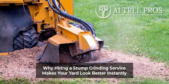 Why Hiring a Stump Grinding Service Makes Your Yard Look Better Instantly