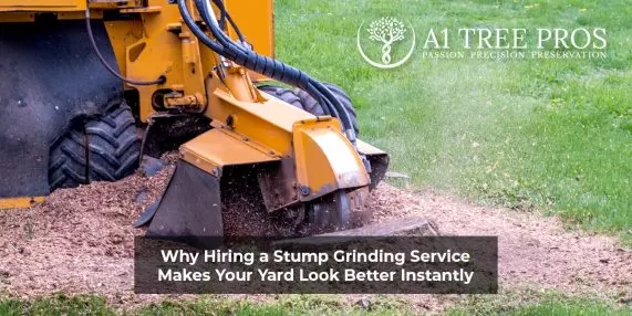 Why Hiring a Stump Grinding Service Makes Your Yard Look Better Instantly